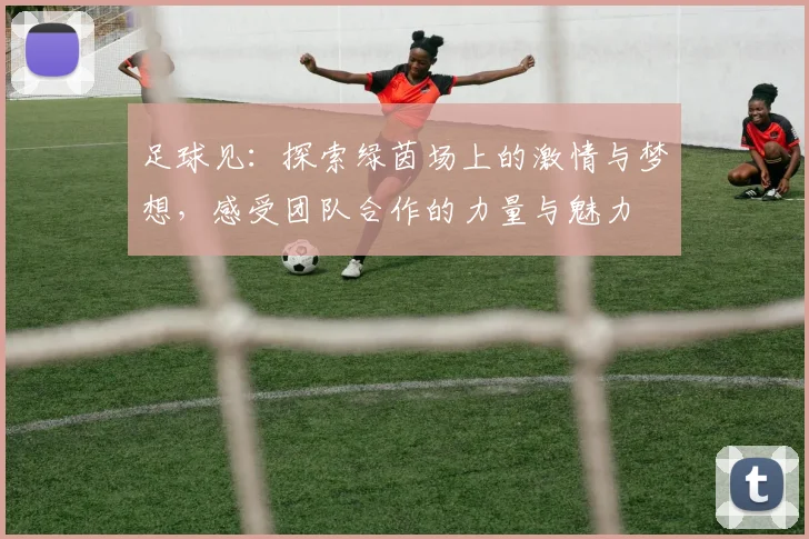 足球见：探索绿茵场上的激情与梦想，感受团队合作的力量与魅力