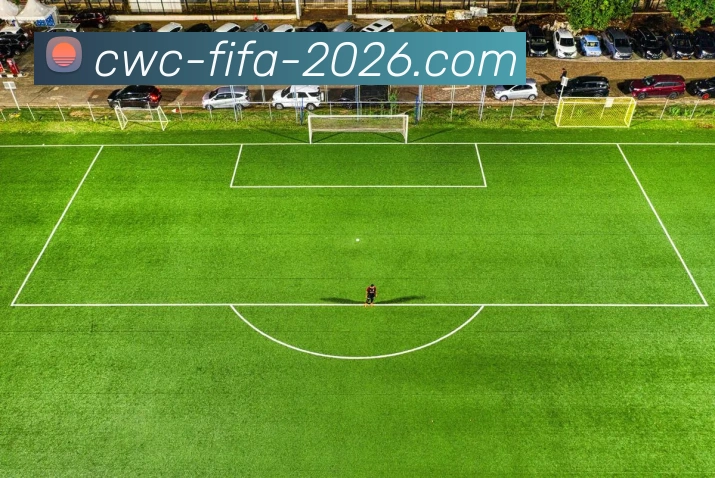 数据防护可视化